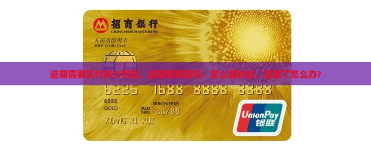 360借条逾期需要支付多少罚息