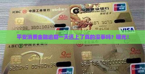 平安消费金融逾期一天还上了
