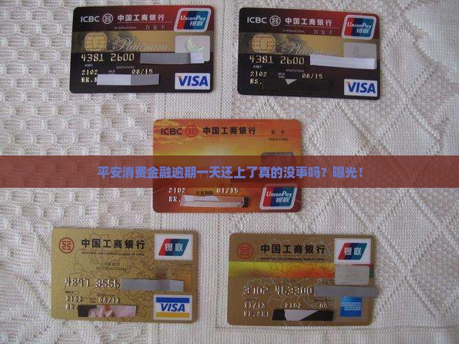 平安消费金融逾期一天还上了