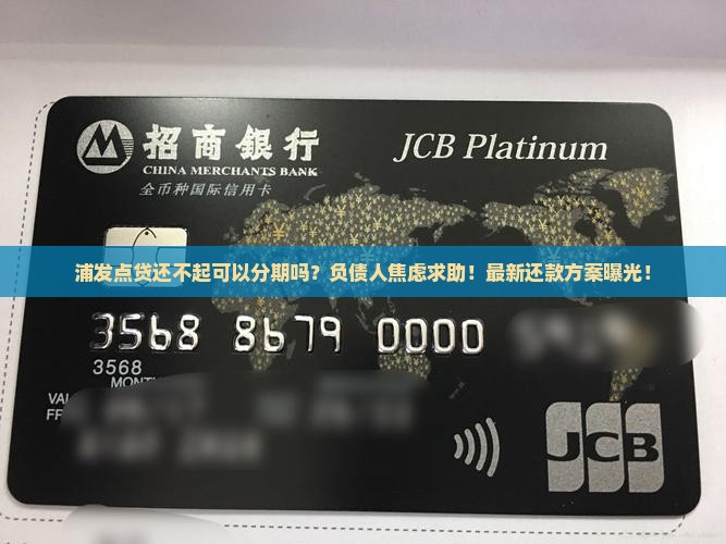浦发点贷还不起可以分期吗