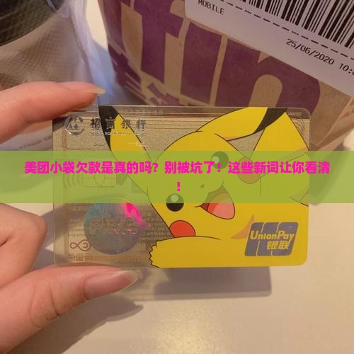 美团小袋欠款是真的吗