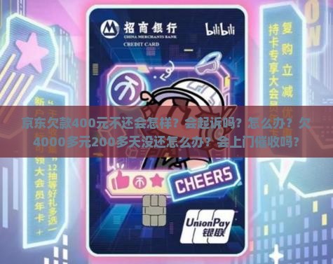 京东白条欠款400元