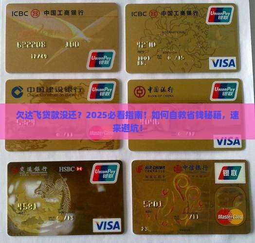 欠达飞贷款没还