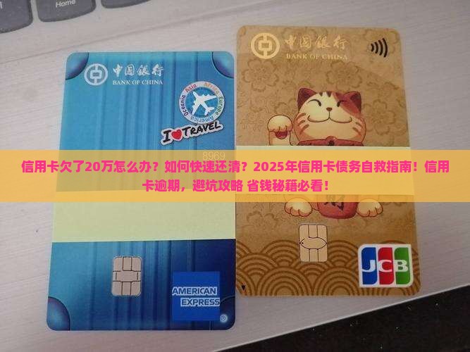 信用卡欠了20万