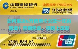 6万信用卡欠了一年如何解决