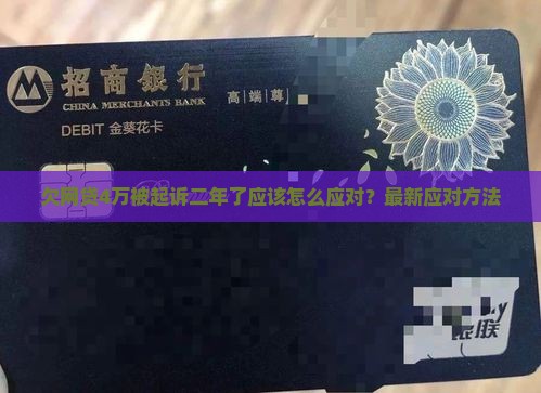 欠网贷4万被起诉二年了应该怎么应对