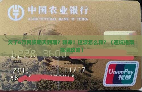 欠了6万网贷明天到期