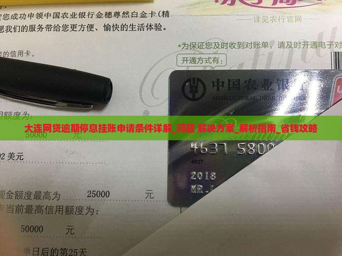 大连网贷逾期停息挂账申请条件详解