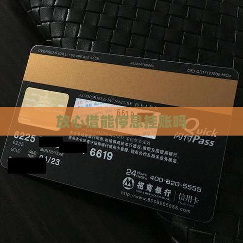 放心借能停息挂账吗