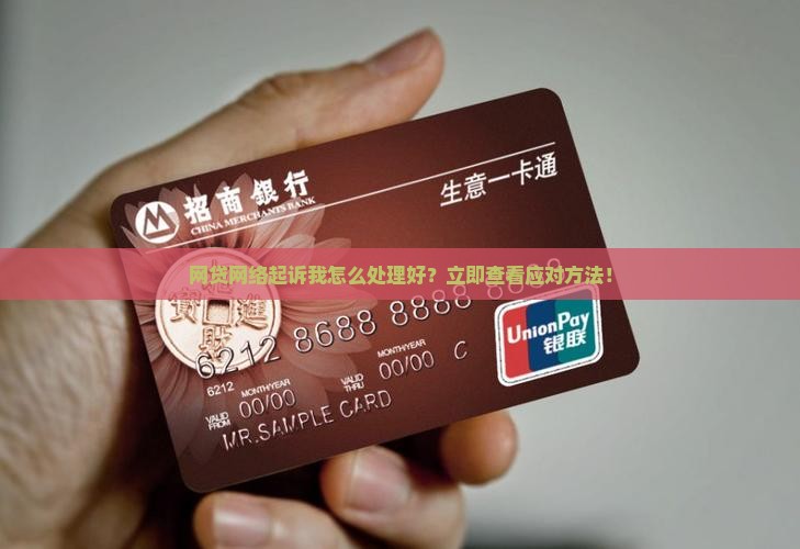 网贷网络起诉我怎么处理好