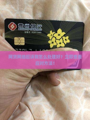 网贷网络起诉我怎么处理好
