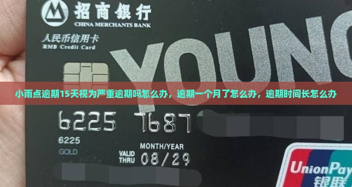 小雨点逾期15天视为严重逾期吗怎么办