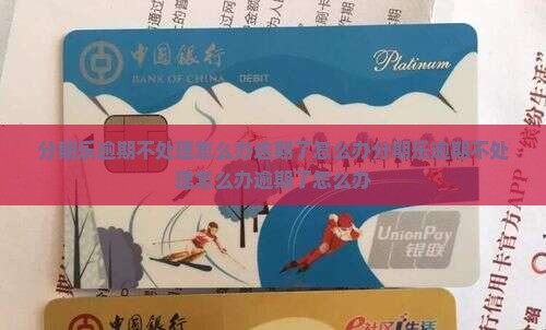 分期乐逾期不处理怎么办逾期了怎么办