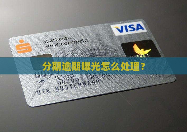 分期贷逾期曝光怎么处理