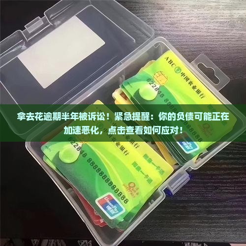 拿去花逾期半年被诉讼