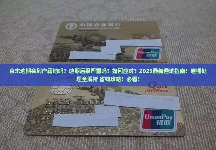 京东白条逾期会到户籍地吗怎么办理 京东白条逾期会到户籍地吗怎么办理