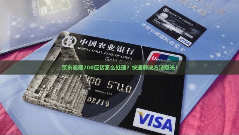 京东白条逾期200应该怎么处理