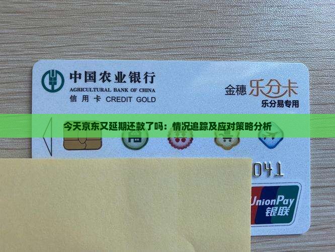 今天京东又延期还款了吗：情况追踪及应对策略分析