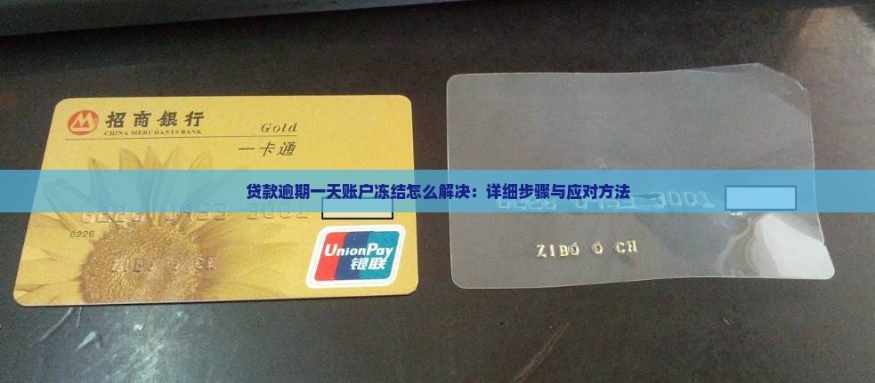 贷款逾期一天账户冻结怎么解决：详细步骤与应对方法