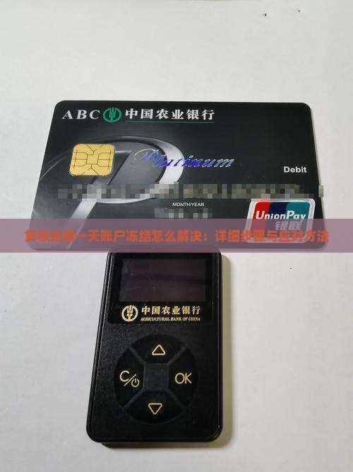 贷款逾期一天账户冻结怎么解决：详细步骤与应对方法