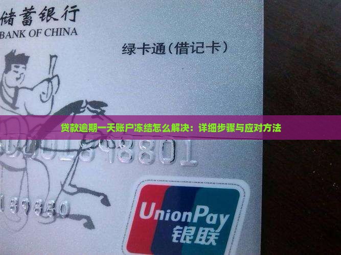 贷款逾期一天账户冻结怎么解决：详细步骤与应对方法