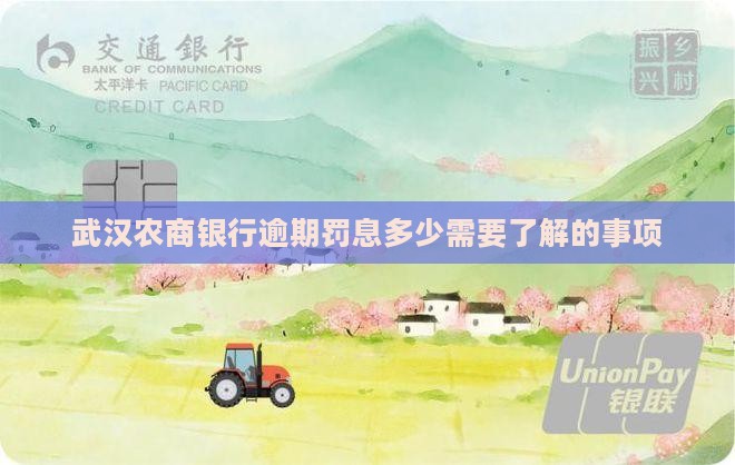 武汉农商银行逾期罚息多少需要了解的事项