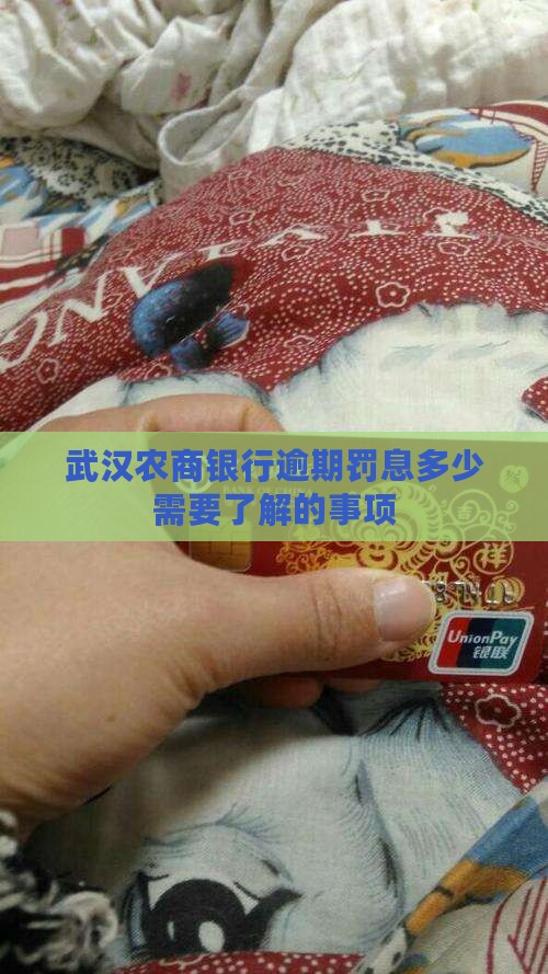 武汉农商银行逾期罚息多少需要了解的事项