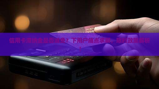 信用卡滞纳金是否减免？下用户痛点求解，限时政策解析！