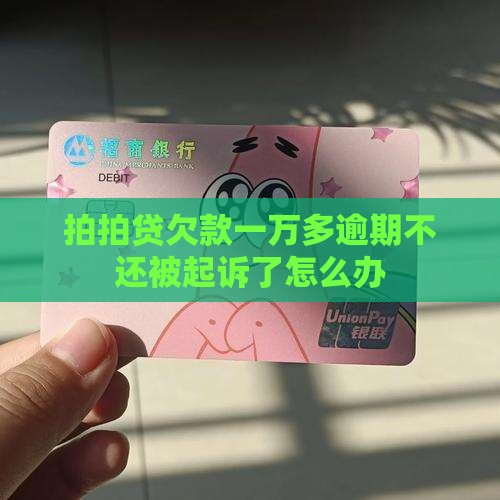 拍拍贷欠款一万多逾期不还被起诉了怎么办