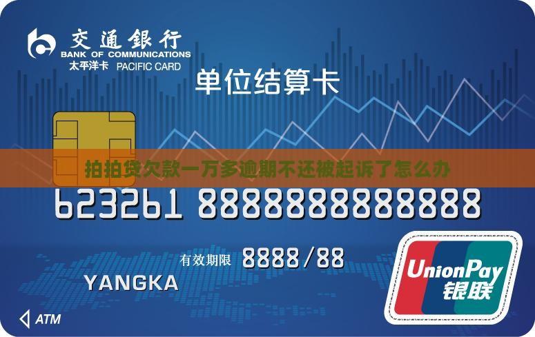 拍拍贷欠款一万多逾期不还被起诉了怎么办