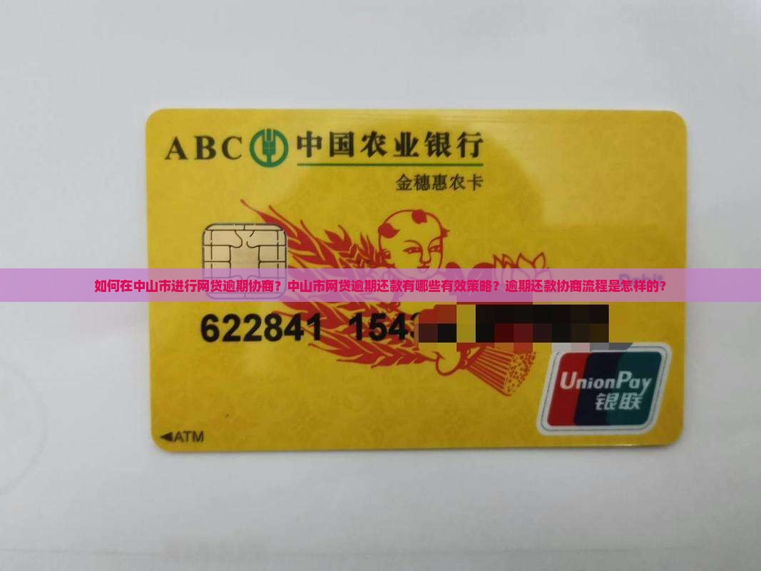 如何在中山市进行网贷逾期协商？中山市网贷逾期还款有哪些有效策略？逾期还款协商流程是怎样的？