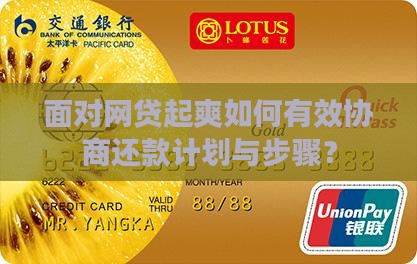 面对网贷起爽如何有效协商还款计划与步骤？