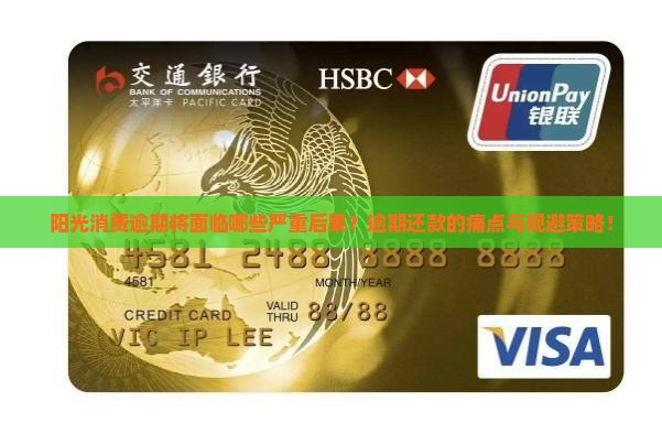 阳光消费逾期将面临哪些严重后果？逾期还款的痛点与规避策略！
