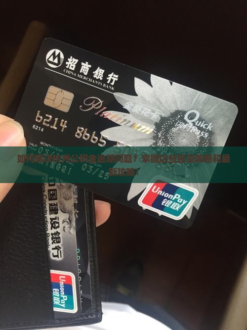 如何解决杭州公积金逾期问题？掌握这些应急策略和最新攻略！