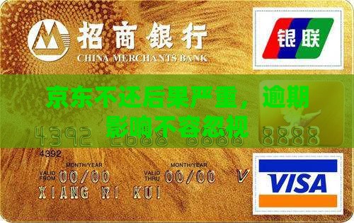 京东不还后果严重，逾期影响不容忽视