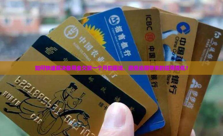 如何快速解决备用金欠款一个月的困境，避免逾期带来的信用危机？