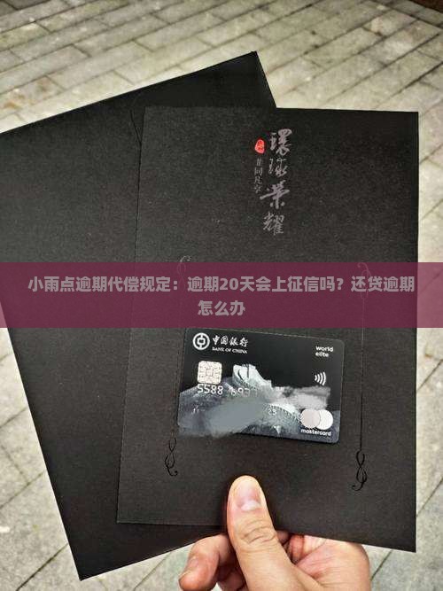 小雨点逾期代偿规定：逾期20天会上征信吗？还贷逾期怎么办