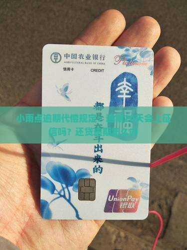 小雨点逾期代偿规定：逾期20天会上征信吗？还贷逾期怎么办