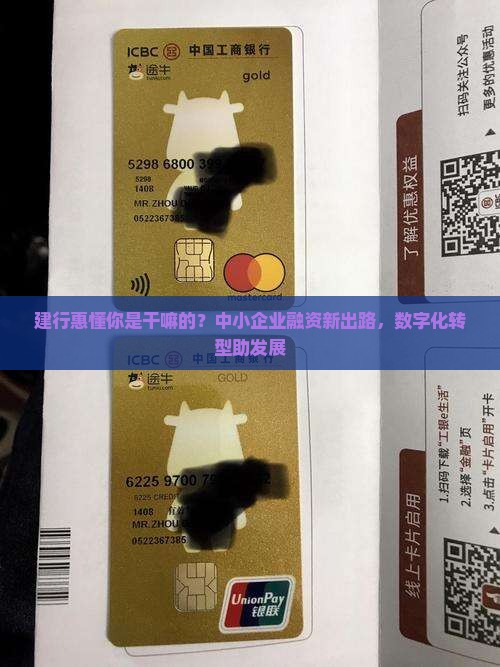 建行惠懂你是干嘛的？中小企业融资新出路，数字化转型助发展