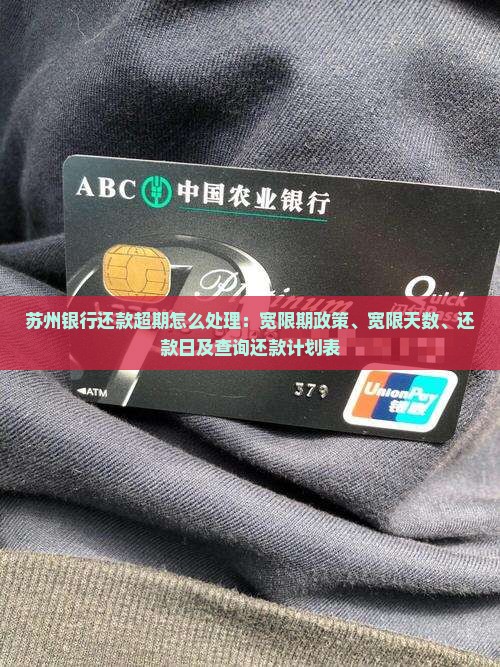 苏州银行还款超期怎么处理：宽限期政策、宽限天数、还款日及查询还款计划表
