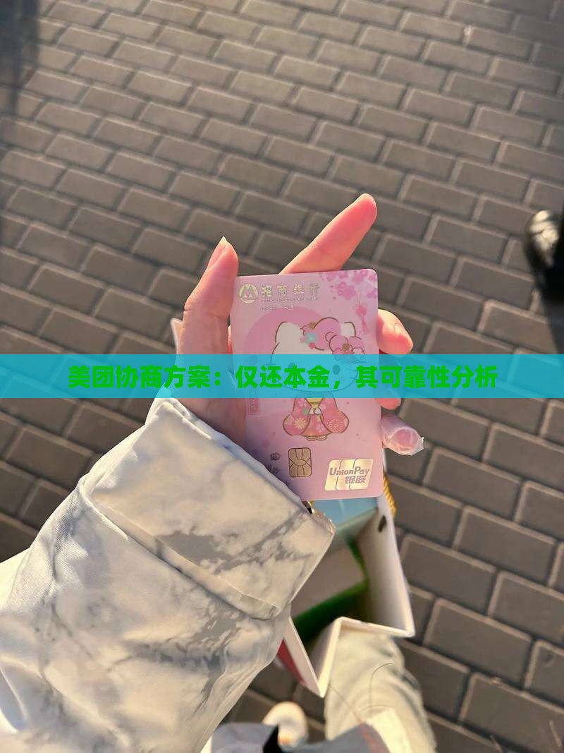 美团协商方案：仅还本金，其可靠性分析