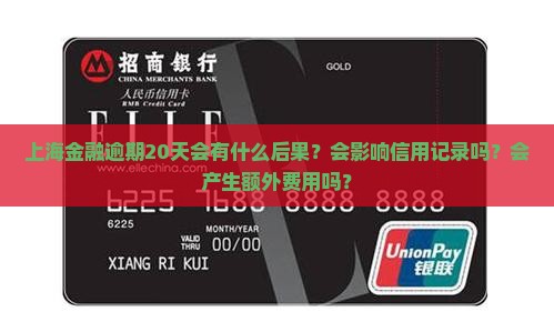 上海金融逾期20天会有什么后果？会影响信用记录吗？会产生额外费用吗？