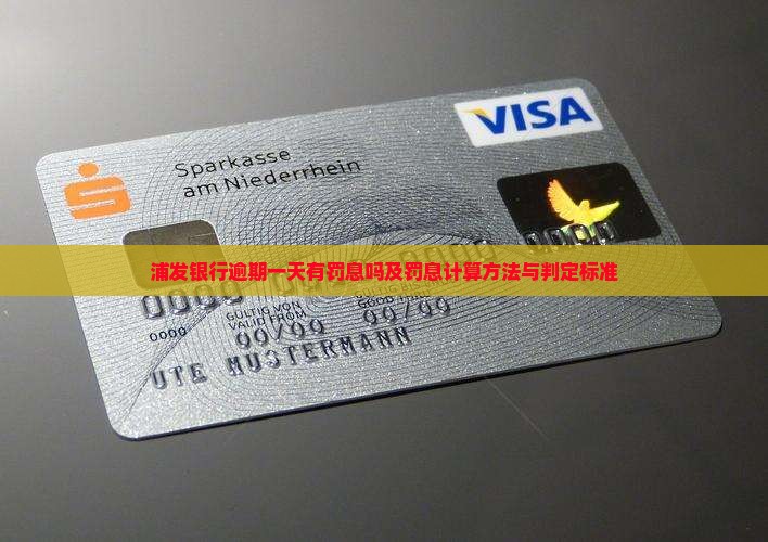 浦发银行逾期一天有罚息吗及罚息计算方法与判定标准
