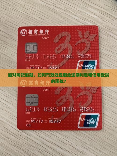 面对网贷逾期，如何有效处理避免逾期利息和信用受损的困扰？