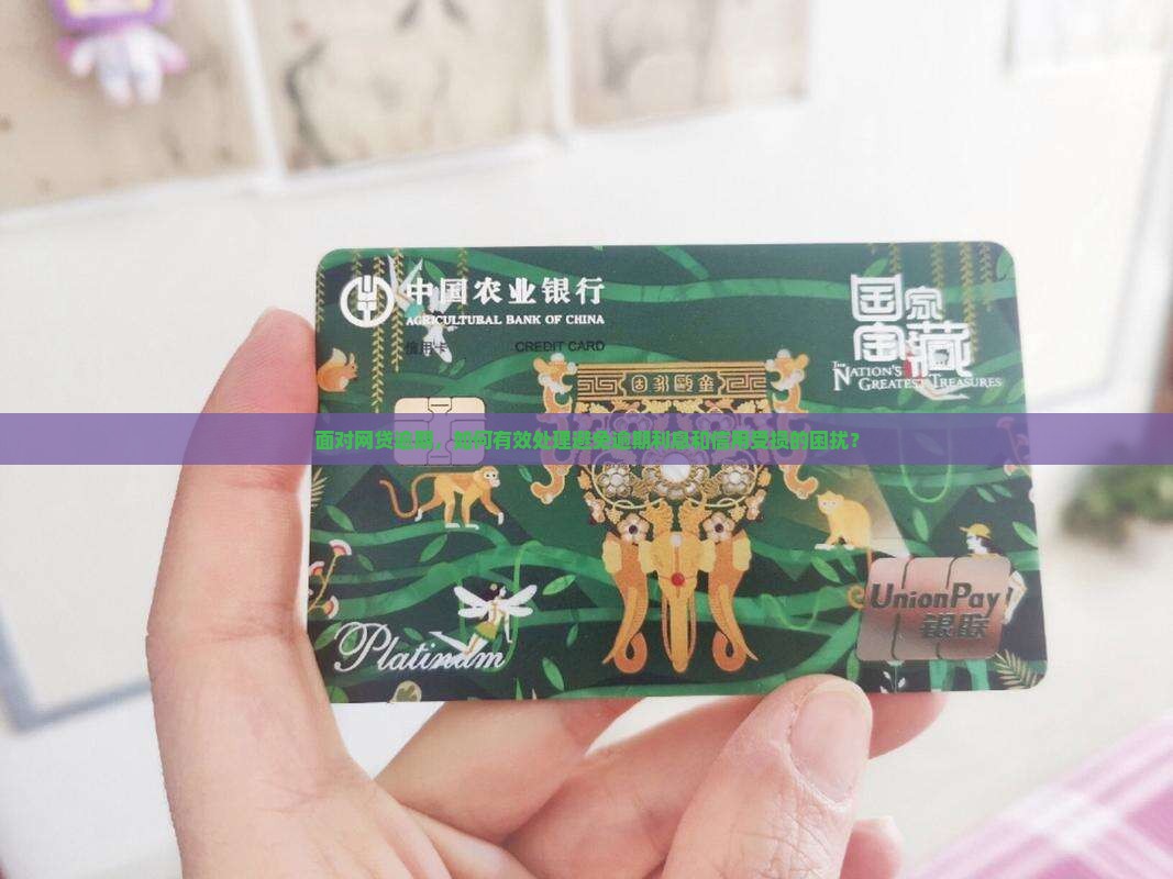 面对网贷逾期，如何有效处理避免逾期利息和信用受损的困扰？