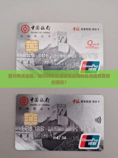 面对网贷逾期，如何有效处理避免逾期利息和信用受损的困扰？