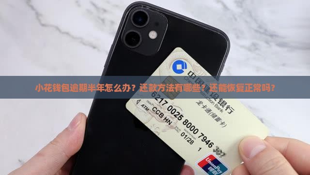 小花钱包逾期半年怎么办？还款方法有哪些？还能恢复正常吗？