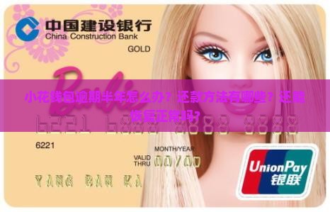 小花钱包逾期半年怎么办？还款方法有哪些？还能恢复正常吗？
