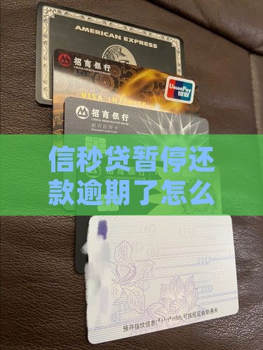 信秒贷暂停还款逾期了怎么处理