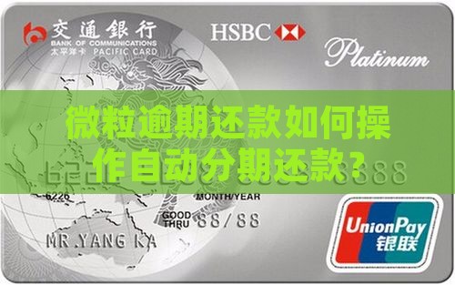 微粒逾期还款如何操作自动分期还款？